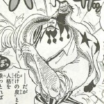 悪魔の実図鑑 64ページ 【ジャケジャケの実】