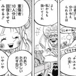 悪魔の実図鑑 76ページ 【チユチユの実】