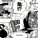 悪魔の実図鑑 79ページ 【カメカメの実】