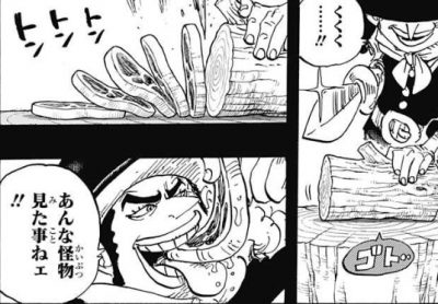 悪魔の実図鑑 付録34ページ ヌケヌケの実 One Piece 悪魔の実の独自考察