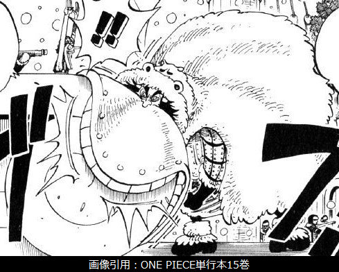 ドラム王国 One Piece 悪魔の実の独自考察