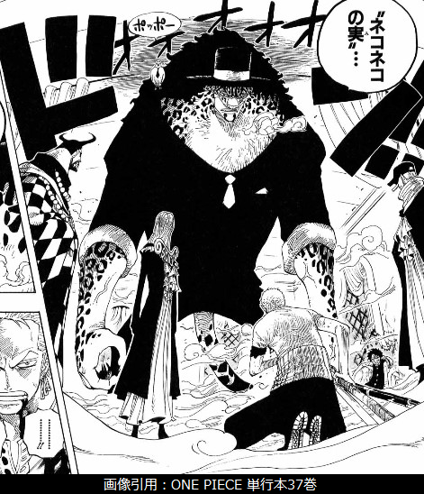 ネコネコの実 モデル 豹 レオパルド の能力者情報と技の一覧 One Piece 悪魔の実の独自考察