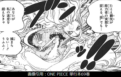 ユキユキの実の能力者情報と技の一覧 One Piece 悪魔の実の独自考察